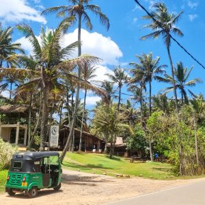 Our four-week Sri Lanka itinerary: The best Sri Lanka accommodations and 18 best things to do