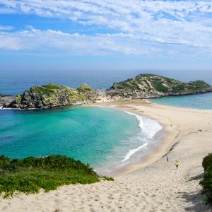 Onze vijf Garden Route hoogtepunten: persoonlijke tips voor de mooiste plekken en hotels van Knysna tot Plettenberg Bay en Tsitsikamma National Park